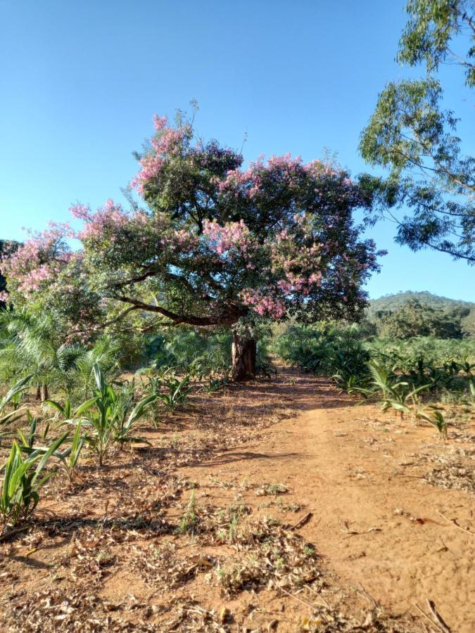 Chale Veredas E Buritis Pirenópolis Eksteriør bilde