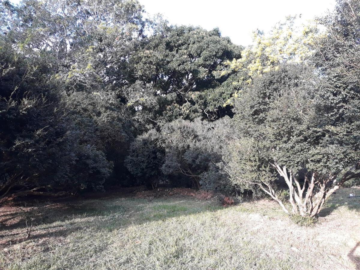 Chale Veredas E Buritis Pirenópolis Eksteriør bilde